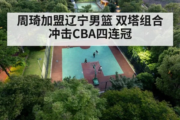 Chinese basketball center
